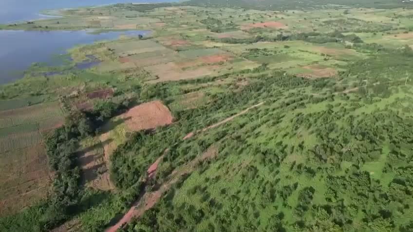 Regenerative vegetable farming